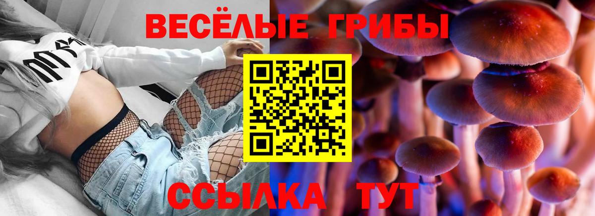 Псилоцибиновые грибы Magic Shrooms Назрань